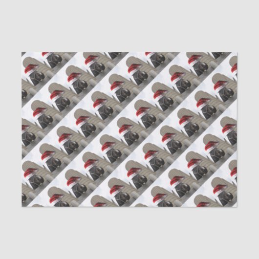 Paarden met Santa Hat Tissuepapier (Voorkant)