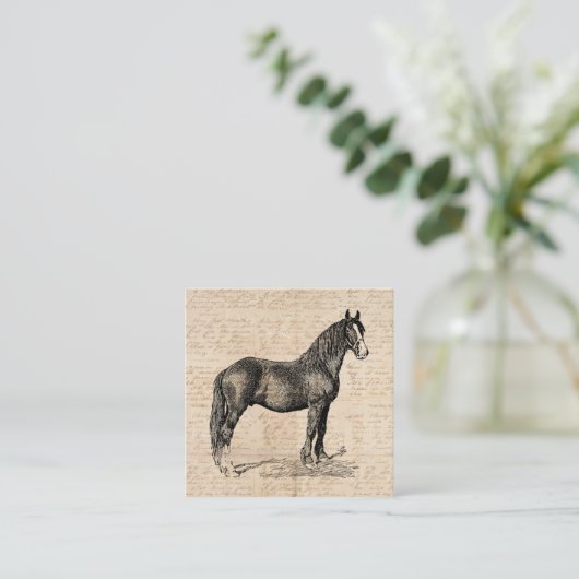 Paarden met Script Paper Informatiekaartje (Staand voorkant)