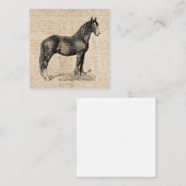 Paarden met Script Paper Informatiekaartje (Voorkant / Achterkant)