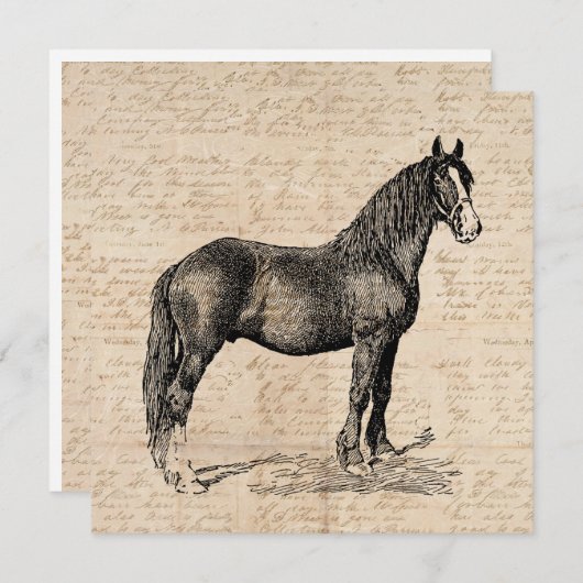 Paarden met Script Paper Notitiekaartje (Voorkant / Achterkant)