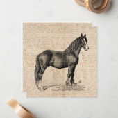 Paarden met Script Paper Notitiekaartje (Voorkant / Achterkant in situ)