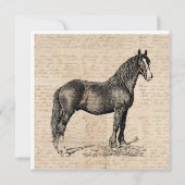 Paarden met Script Paper Notitiekaartje (Achterkant)