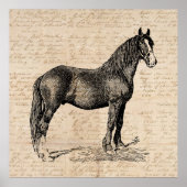 Paarden met Script Paper Poster (Voorkant)