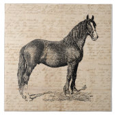 Paarden met Script Paper Tegeltje (Voorkant)