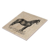 Paarden met Script Paper Tegeltje (Zijkant)