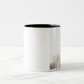 Paarden met sneeuw op kop (Center)