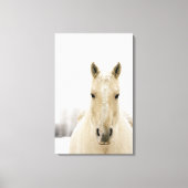 Paarden met sneeuw op kop canvas afdruk (Voorkant)