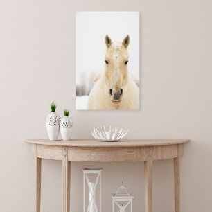 Paarden met sneeuw op kop canvas afdruk