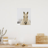 Paarden met sneeuw op kop poster (Keuken)