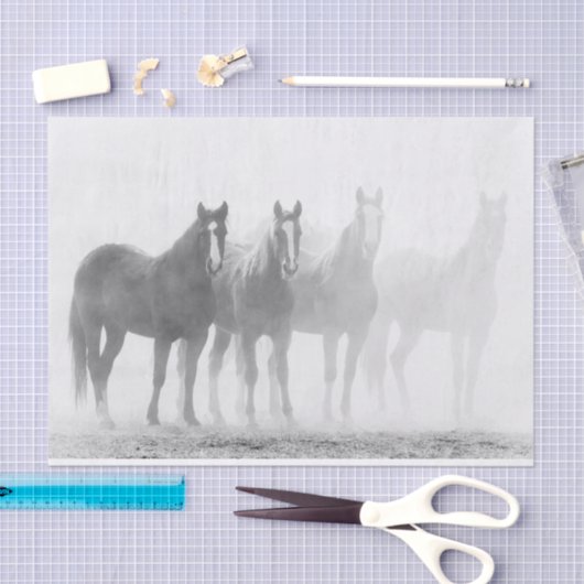 Paarden met zwarte en witte flauwvallen tissuepapier (Craft)