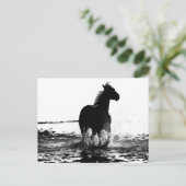 Paarden Modern Black & White Pop Art Afbeelding Briefkaart (Staand voorkant)