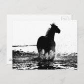 Paarden Modern Black & White Pop Art Afbeelding Briefkaart (Voorkant / Achterkant)