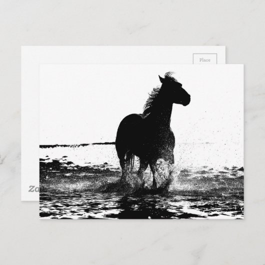 Paarden Modern Black & White Pop Art Afbeelding Briefkaart (Voorkant / Achterkant)