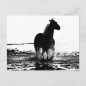 Paarden Modern Black & White Pop Art Afbeelding Briefkaart (Voorkant)