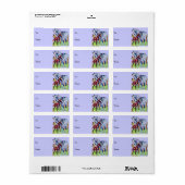 Paarden Moeder Baby Gift Labels (Full Sheet)