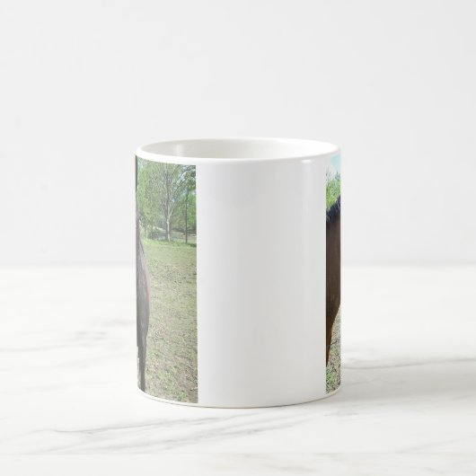 Paarden Mok (Center)