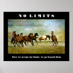 Paarden Motivatie Inspirerend geen limietprijsopga Poster