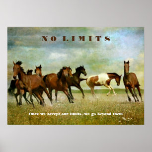 Paarden Motivatie Inspirerend geen limietprijsopga Poster
