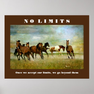 Paarden Motivatie Inspirerend geen limietprijsopga Poster