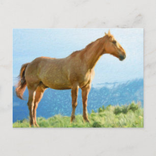 *~* Paarden - Mountains Hill AR22 Waterverf van pa Briefkaart