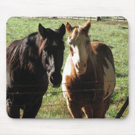 Paarden Mousepad Muismat (Voorkant)
