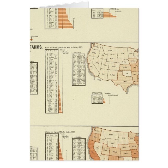 Paarden, muildieren, ezels, schapen (Voorkant)
