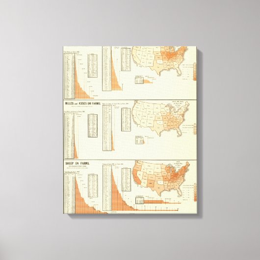 Paarden, muildieren, ezels, schapen canvas afdruk (Voorkant)
