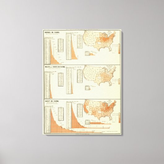 Paarden, muildieren, ezels, schapen canvas afdruk (Voorkant)