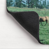 Paarden Muismat (Hoek)