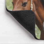 Paarden Muismat (Hoek)