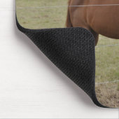 Paarden Muismat (Hoek)