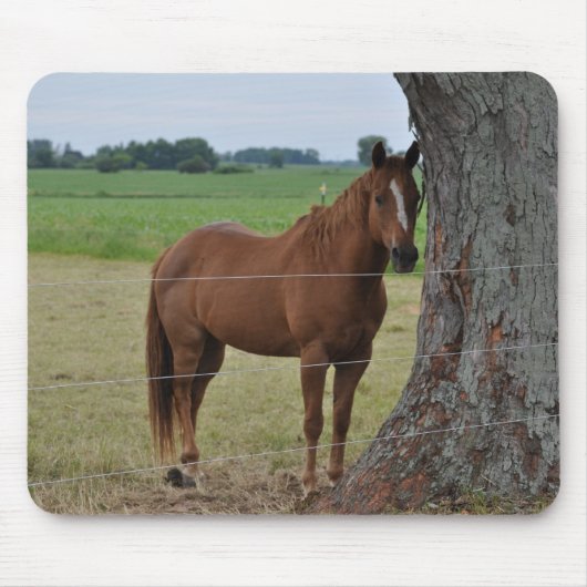Paarden Muismat (Voorkant)