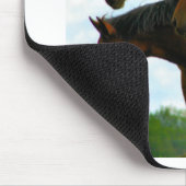 Paarden Muismat (Hoek)