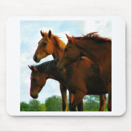 Paarden Muismat