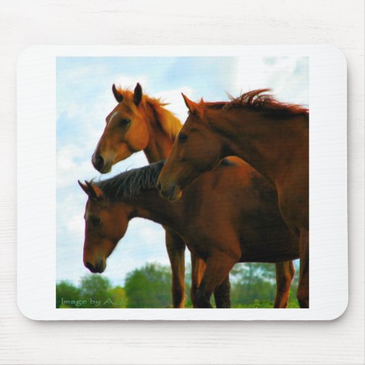 Paarden Muismat (Voorkant)