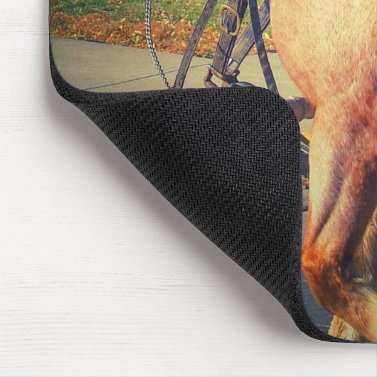  paarden muismat (Hoek)