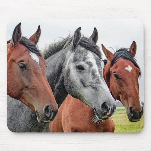 Paarden Muismat (Voorkant)