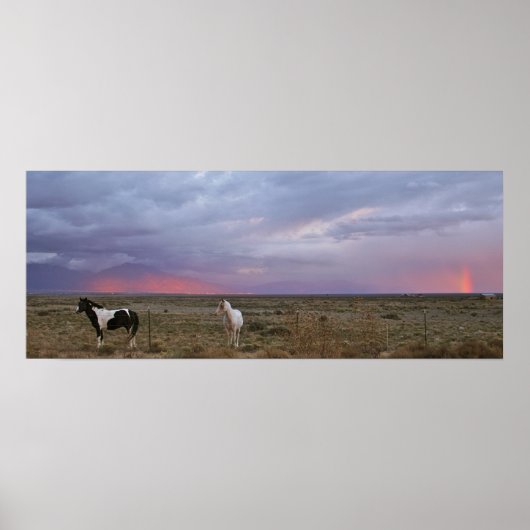 Paarden na het Storm Poster (Voorkant)