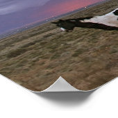 Paarden na het Storm Poster (Hoek)