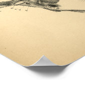 Paarden Neck Muscle Anatomy 1908  Print (Hoek)