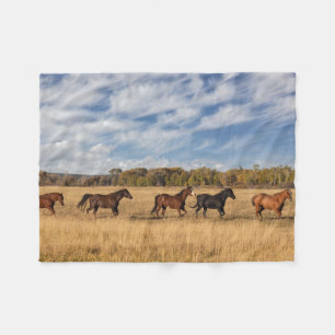 Paarden net buiten Grand Teton National Park Fleece Deken