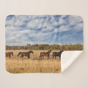 Paarden net buiten Grand Teton National Park Sherpa Deken
