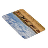 Paarden net buiten het nationale park Grand Teton Magneet (Rechterzijde)