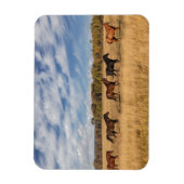 Paarden net buiten het nationale park Grand Teton Magneet (Verticaal)