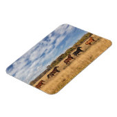 Paarden net buiten het nationale park Grand Teton Magneet (Linkerzijde)