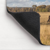 Paarden net buiten het nationale park Grand Teton Muismat (Hoek)