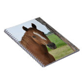 Paarden Notitieboek (Rechterzijde)