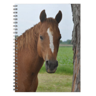 Paarden Notitieboek