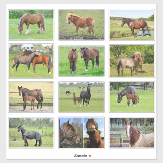 Paarden (of UW foto's) stickers (Vel)