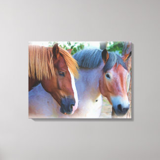 Paarden Olieverfschilderij Canvas Afdruk